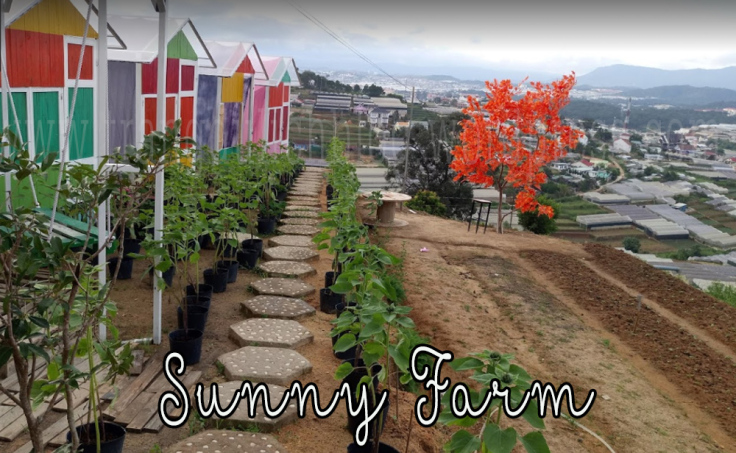 Sunny Farm - Nông trại vui vẻ Đà Lạt