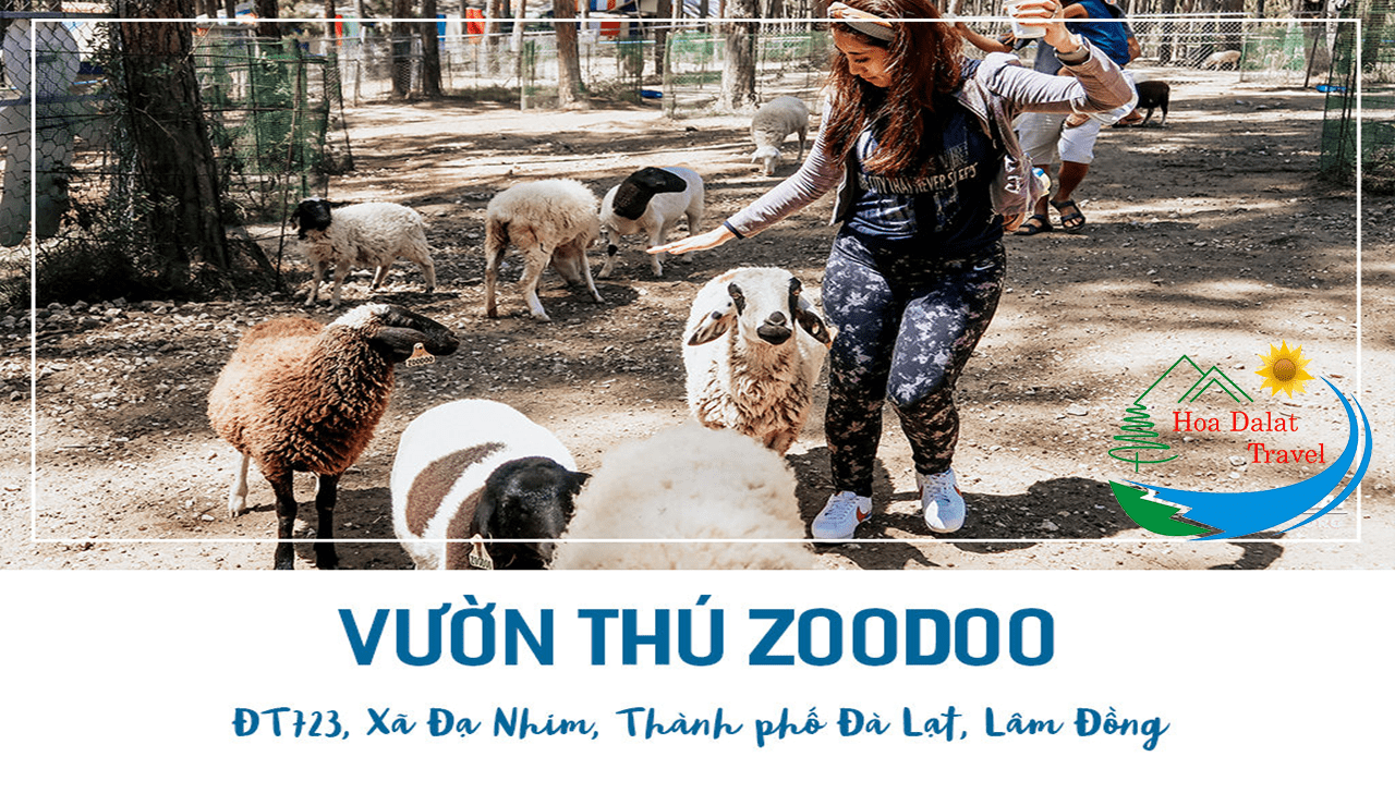 tour sở thú zoodoo Đà Lạt