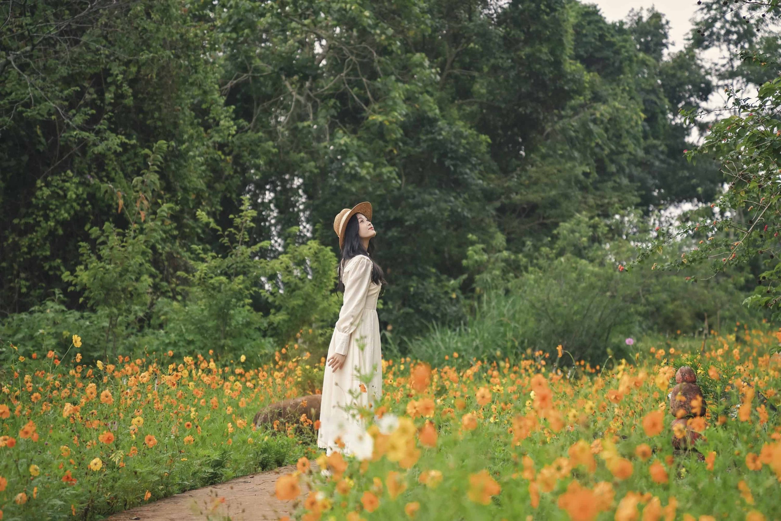 Chụp hình sống ảo ở vườn hoa cánh bướm Hoa Sơn Điền Trang