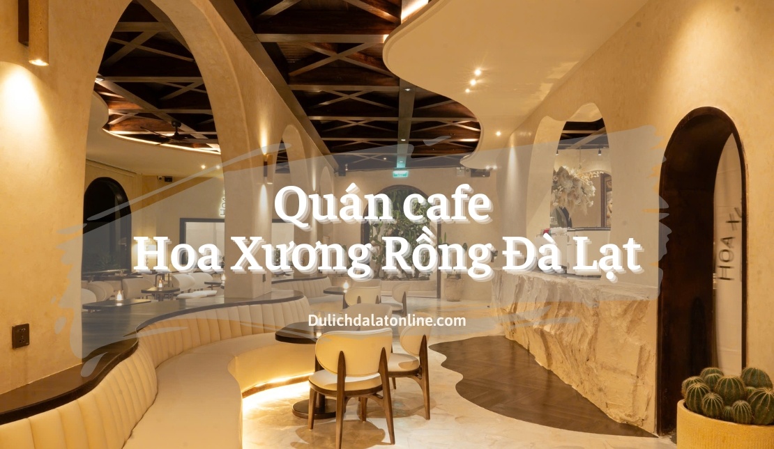 Quán cafe Hoa Xương Rồng Đà Lạt